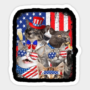 Funny Cat Patriotic USA Cat Lovers Cat Happy 4th July Sticker